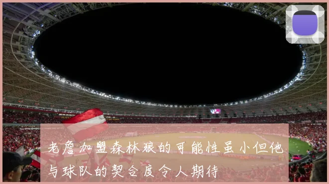 老詹加盟森林狼的可能性虽小但他与球队的契合度令人期待
